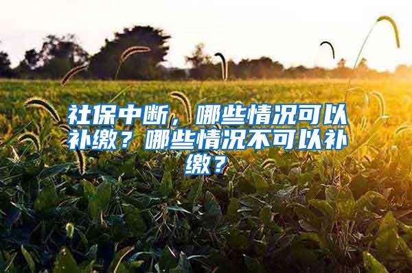 社保中断，哪些情况可以补缴？哪些情况不可以补缴？