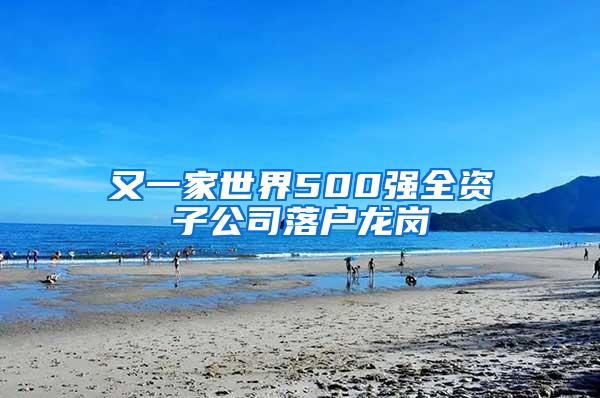 又一家世界500强全资子公司落户龙岗