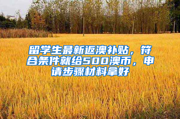 留学生最新返澳补贴，符合条件就给500澳币，申请步骤材料拿好