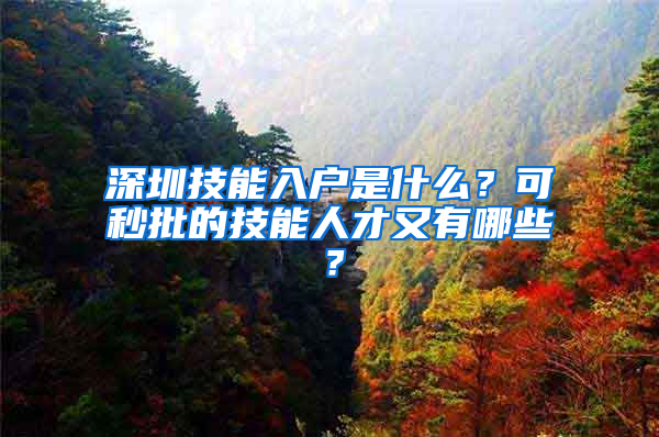 深圳技能入户是什么？可秒批的技能人才又有哪些？