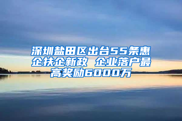 深圳盐田区出台55条惠企扶企新政 企业落户最高奖励6000万