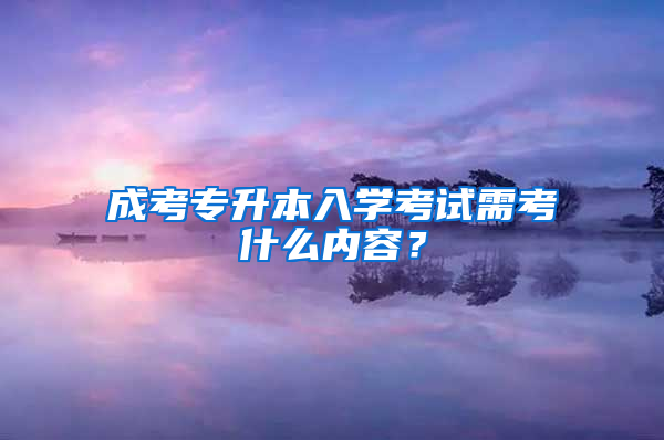 成考专升本入学考试需考什么内容？