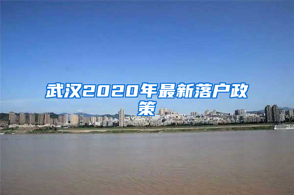 武汉2020年最新落户政策