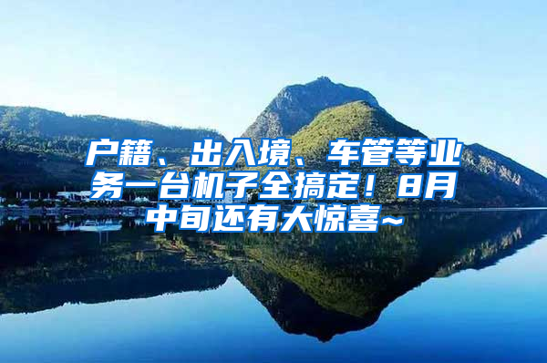 户籍、出入境、车管等业务一台机子全搞定！8月中旬还有大惊喜~