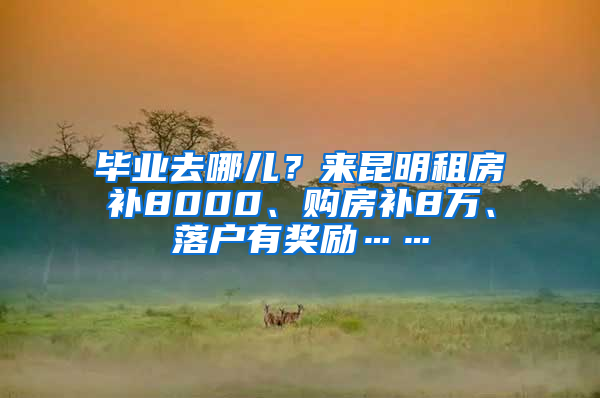 毕业去哪儿？来昆明租房补8000、购房补8万、落户有奖励……