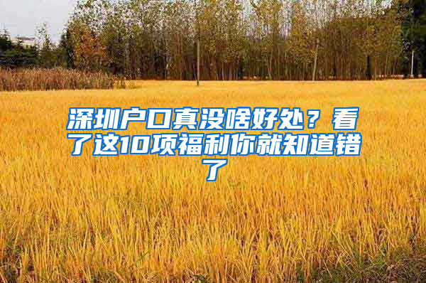 深圳户口真没啥好处？看了这10项福利你就知道错了