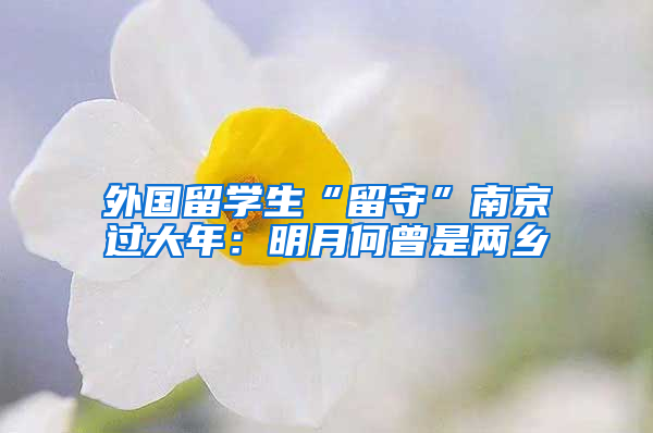 外国留学生“留守”南京过大年：明月何曾是两乡