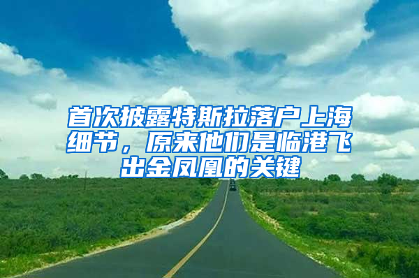 首次披露特斯拉落户上海细节，原来他们是临港飞出金凤凰的关键