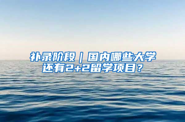 补录阶段｜国内哪些大学还有2+2留学项目？