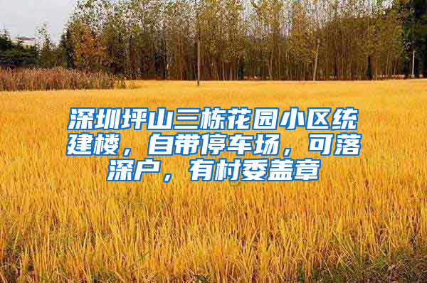 深圳坪山三栋花园小区统建楼，自带停车场，可落深户，有村委盖章