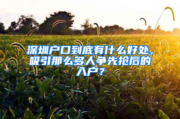 深圳户口到底有什么好处，吸引那么多人争先抢后的入户？