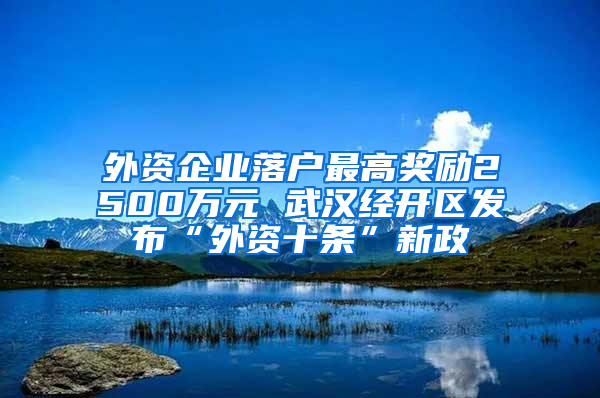 外资企业落户最高奖励2500万元 武汉经开区发布“外资十条”新政