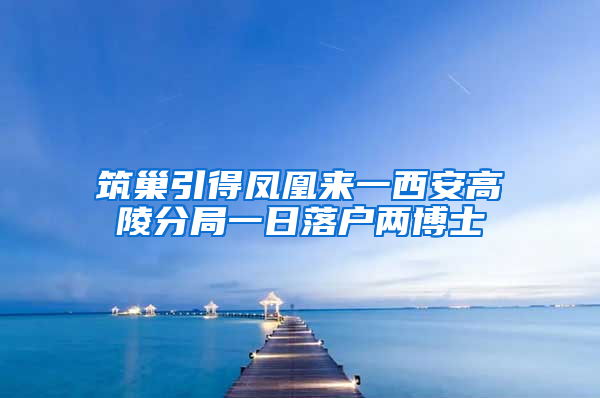 筑巢引得凤凰来一西安高陵分局一日落户两博士