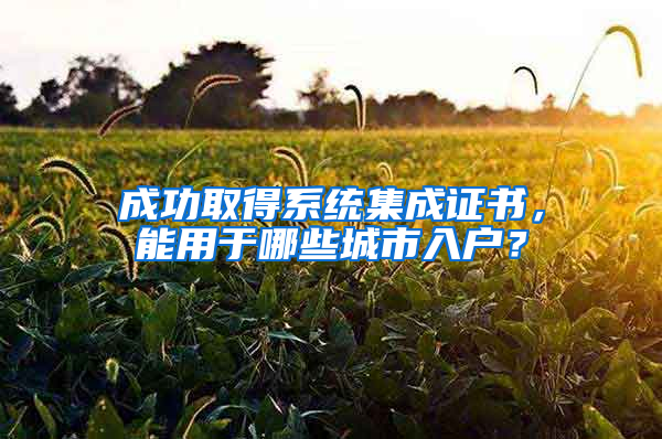 成功取得系统集成证书，能用于哪些城市入户？