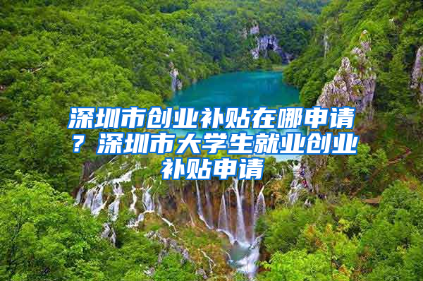 深圳市创业补贴在哪申请？深圳市大学生就业创业补贴申请