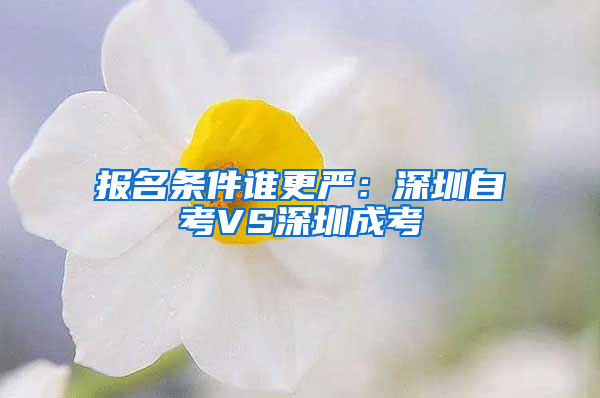 报名条件谁更严：深圳自考VS深圳成考