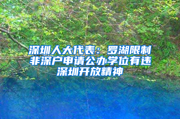 深圳人大代表：罗湖限制非深户申请公办学位有违深圳开放精神