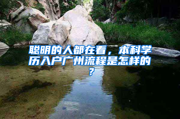 聪明的人都在看，本科学历入户广州流程是怎样的？