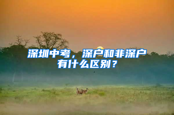 深圳中考，深户和非深户有什么区别？