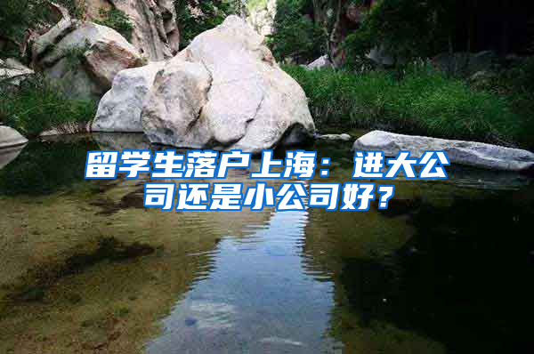 留学生落户上海：进大公司还是小公司好？