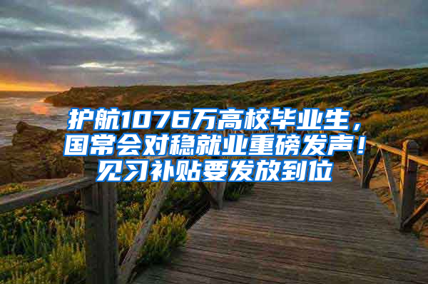 护航1076万高校毕业生，国常会对稳就业重磅发声！见习补贴要发放到位