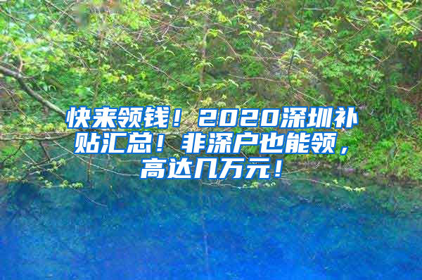 快来领钱！2020深圳补贴汇总！非深户也能领，高达几万元！