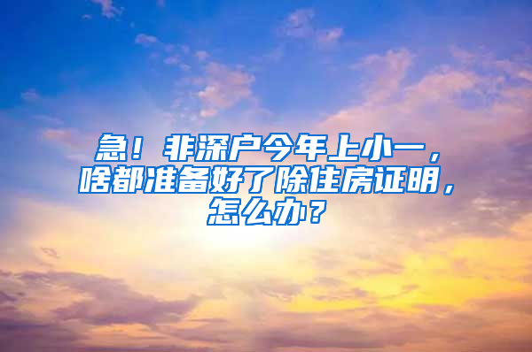 急！非深户今年上小一，啥都准备好了除住房证明，怎么办？