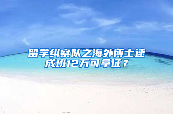 留学纠察队之海外博士速成班12万可拿证？