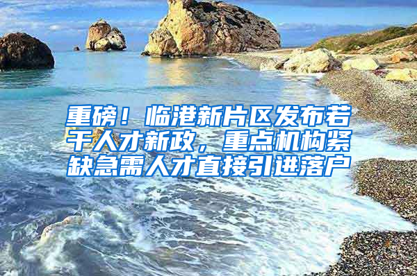 重磅！临港新片区发布若干人才新政，重点机构紧缺急需人才直接引进落户