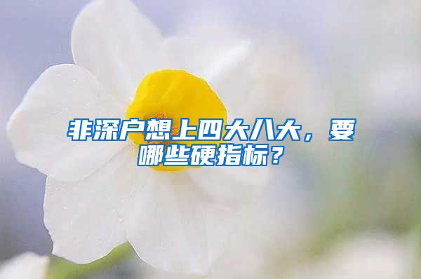 非深户想上四大八大，要哪些硬指标？