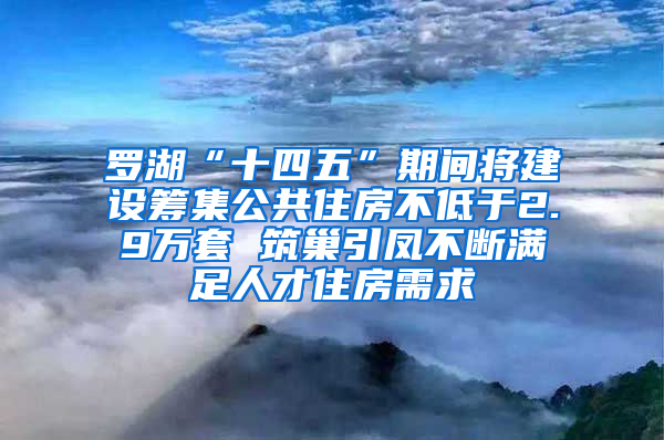 罗湖“十四五”期间将建设筹集公共住房不低于2.9万套 筑巢引凤不断满足人才住房需求