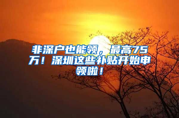 非深户也能领，最高75万！深圳这些补贴开始申领啦！