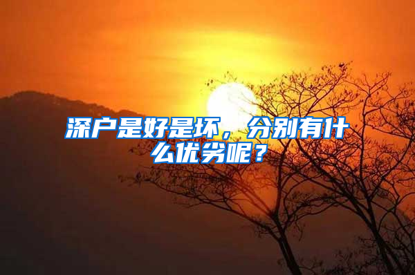 深户是好是坏，分别有什么优劣呢？