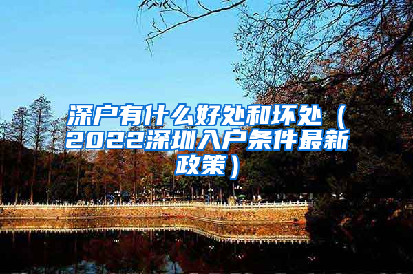 深户有什么好处和坏处（2022深圳入户条件最新政策）