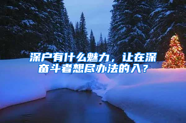 深户有什么魅力，让在深奋斗者想尽办法的入？