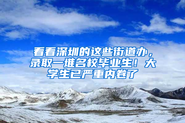 看看深圳的这些街道办，录取一堆名校毕业生！大学生已严重内卷了