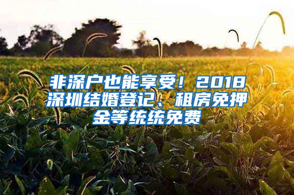 非深户也能享受！2018深圳结婚登记、租房免押金等统统免费