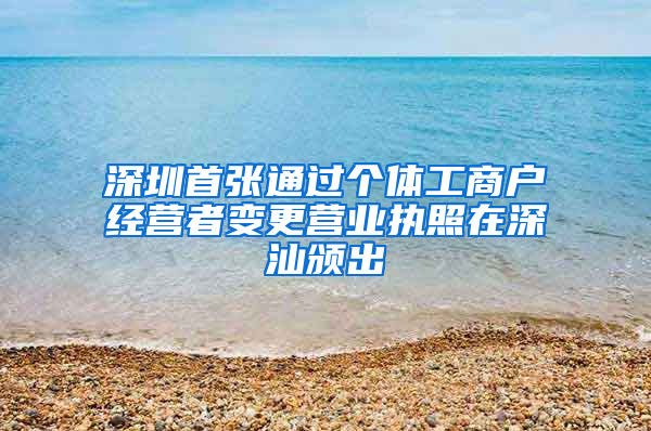 深圳首张通过个体工商户经营者变更营业执照在深汕颁出