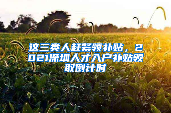 这三类人赶紧领补贴，2021深圳人才入户补贴领取倒计时