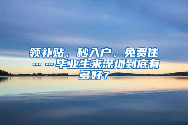 领补贴、秒入户、免费住……毕业生来深圳到底有多好？