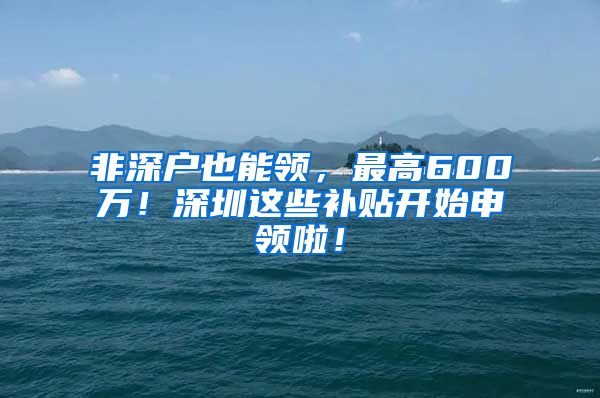 非深户也能领，最高600万！深圳这些补贴开始申领啦！