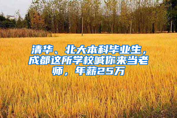 清华、北大本科毕业生，成都这所学校喊你来当老师，年薪25万