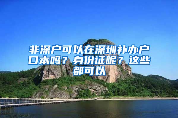 非深户可以在深圳补办户口本吗？身份证呢？这些都可以