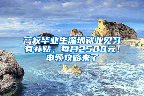 高校毕业生深圳就业见习有补贴，每月2500元！申领攻略来了