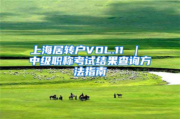 上海居转户VOL.11 ｜ 中级职称考试结果查询方法指南