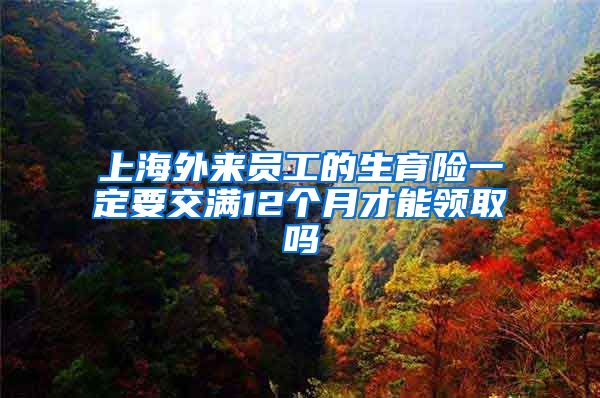 上海外来员工的生育险一定要交满12个月才能领取吗