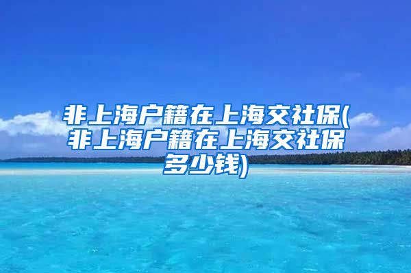 非上海户籍在上海交社保(非上海户籍在上海交社保多少钱)