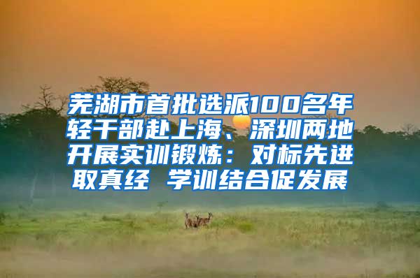 芜湖市首批选派100名年轻干部赴上海、深圳两地开展实训锻炼：对标先进取真经 学训结合促发展