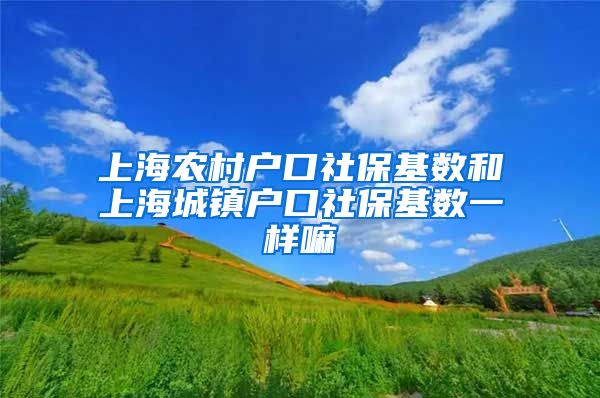 上海农村户口社保基数和上海城镇户口社保基数一样嘛