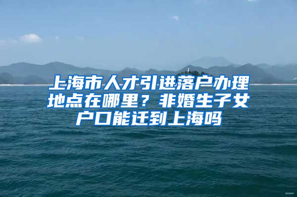 上海市人才引进落户办理地点在哪里？非婚生子女户口能迁到上海吗